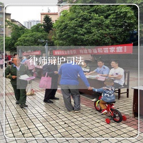 律师辩护司法