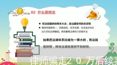 律师骗走20万后续案例