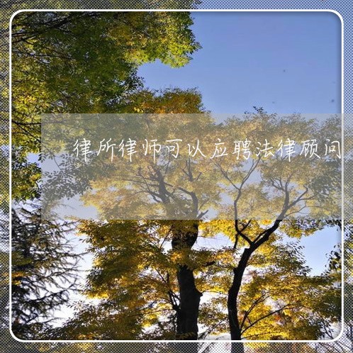 律所律师可以应聘法律顾问/2023031482793