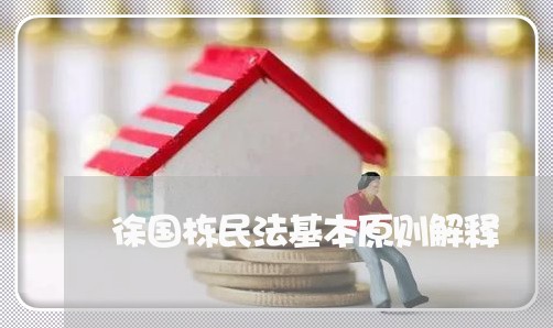 徐国栋民法基本原则解释