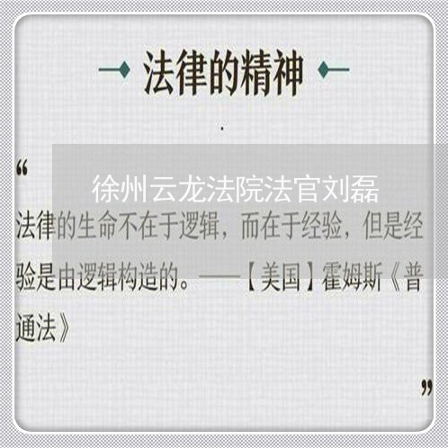 徐州云龙法院法官刘磊