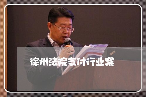 徐州法院支付行业案