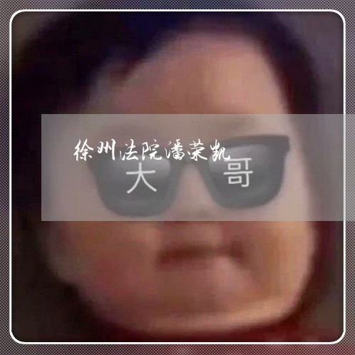 徐州法院潘荣凯 徐州法院潘荣凯