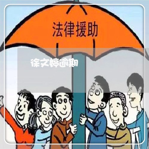 徐文婷逾期