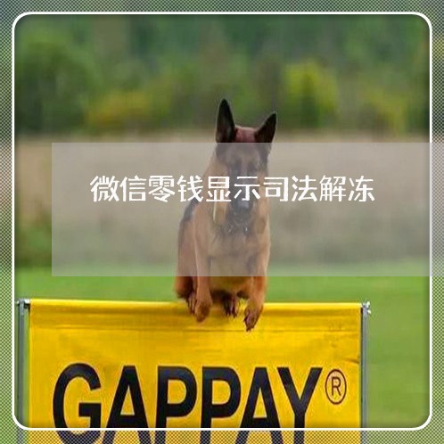 微信零钱显示司法解冻