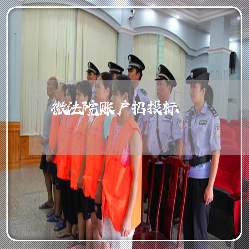 微法院账户招投标 微法院账户招投标
