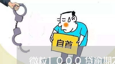 微粒1000贷逾期2个月/2023042306957