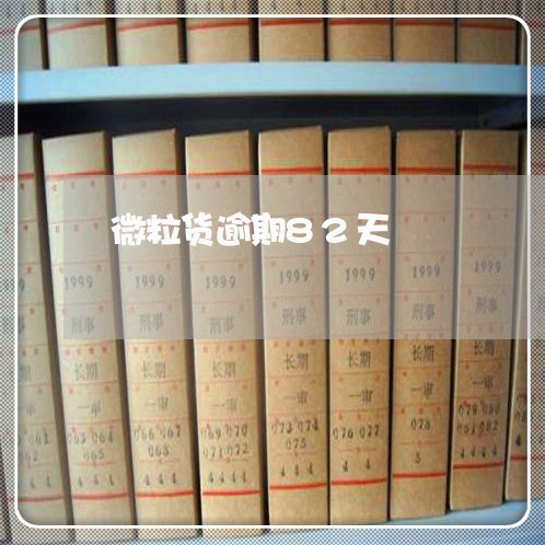 微粒货逾期82天