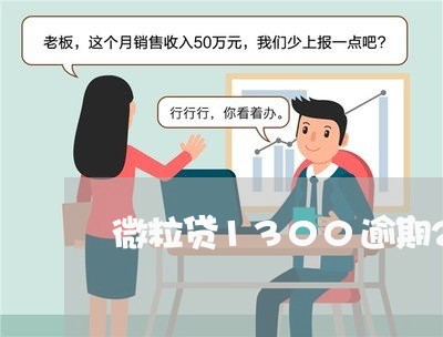 微粒贷1300逾期24天/2023032459492