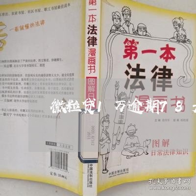 微粒贷1万逾期78天了/2023061982916