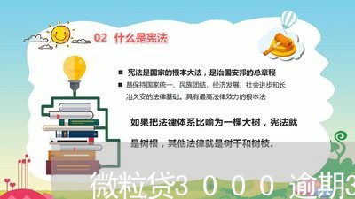 微粒贷3000逾期3年/2023062084627