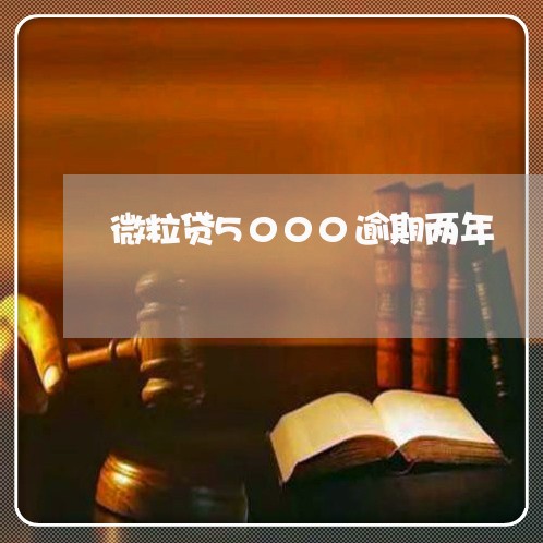 微粒贷5000逾期两年 微粒贷5000逾期两年