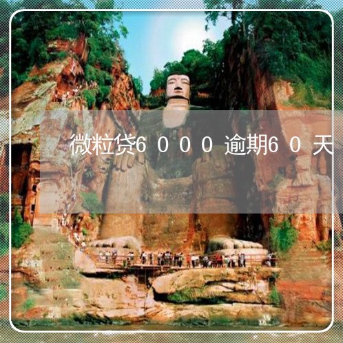 微粒贷6000逾期60天 微粒贷6000逾期60天