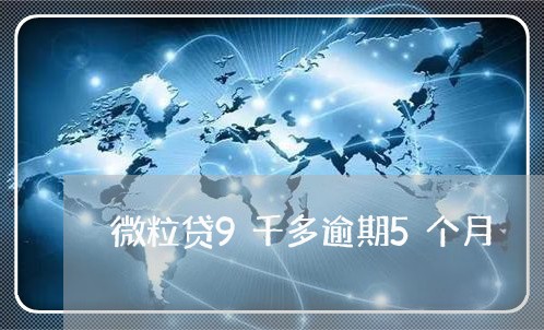 微粒贷9千多逾期5个月/2023062029181