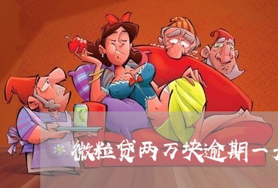 微粒贷两万块逾期一天了/2023091393925