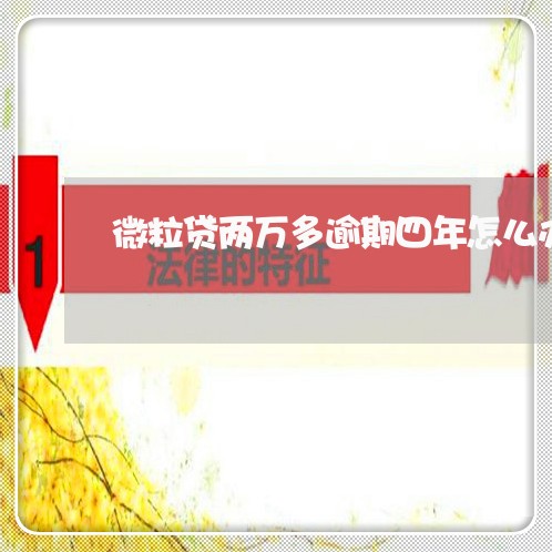 微粒贷两万多逾期四年怎么办 微粒贷两万多逾期四年怎么办