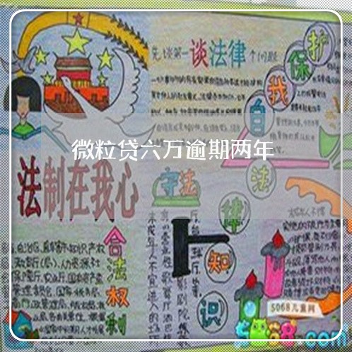微粒贷六万逾期两年