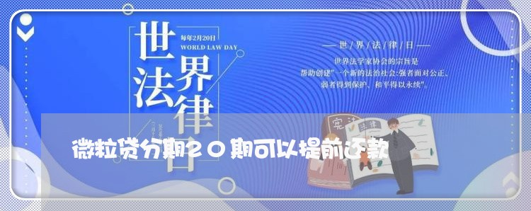 微粒贷分期20期可以提前还款 微粒贷分期20期可以提前还款
