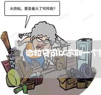 微粒贷可以逾期一个星期吗/2023091389293