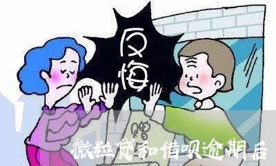 微粒贷和借呗逾期后 微粒贷和借呗逾期后