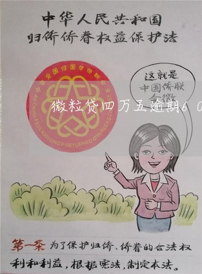 微粒贷四万五逾期60天 微粒贷四万五逾期60天