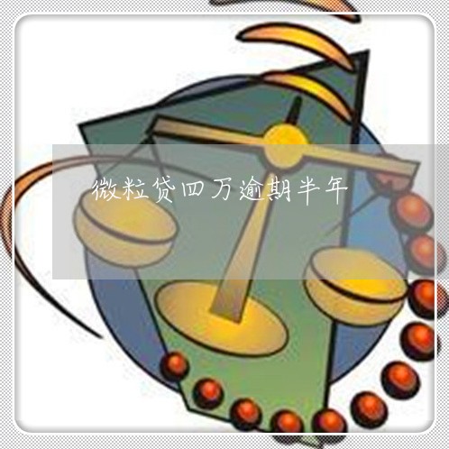 微粒贷四万逾期半年/2023020631515