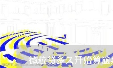 微粒贷多久开始算逾期/2023032003836