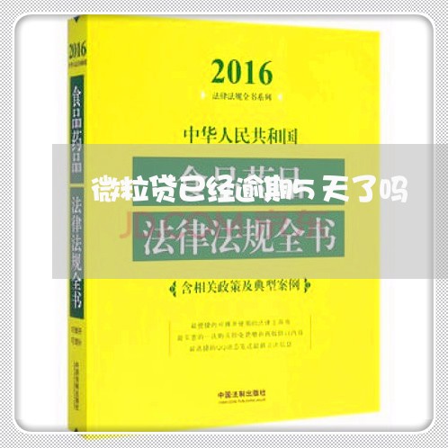 微粒贷已经逾期5天了吗/2023062024835