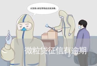 微粒贷征信有逾期/2023020224141 微粒贷征信有逾期/2023020224141