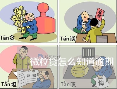 微粒贷怎么知道逾期 微粒贷怎么知道逾期