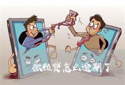 微粒贷怎么逾期了