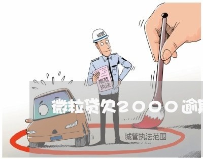 微粒贷欠2000逾期/2023032002946