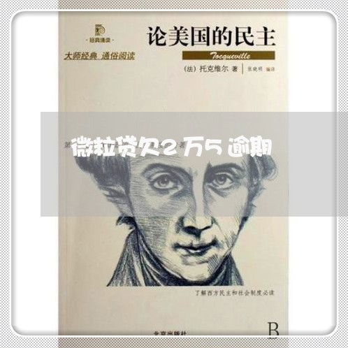 微粒贷欠2万5逾期 微粒贷欠2万5逾期