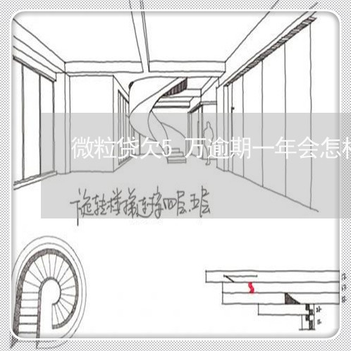 微粒贷欠5万逾期一年会怎样/2023042323935