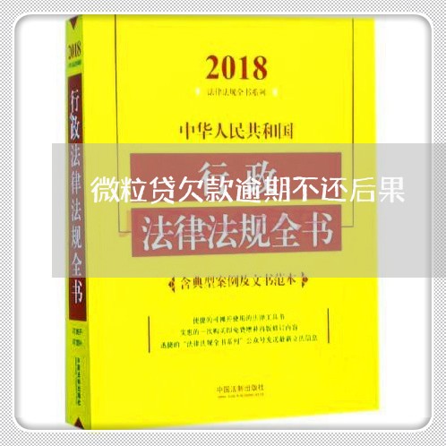 微粒贷欠款逾期不还后果/2023033007270