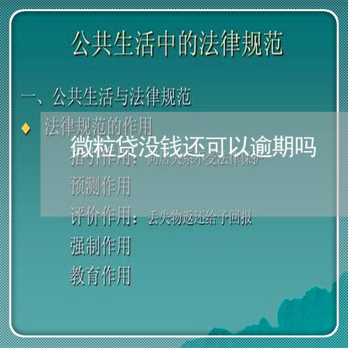 微粒贷没钱还可以逾期吗/2023061988602