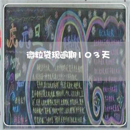 微粒贷现逾期103天