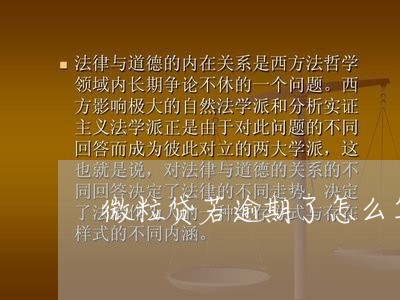 微粒贷若逾期了怎么算利息/2023060404736