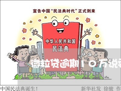 微粒贷逾期10万说委派专员上门/2023091357160