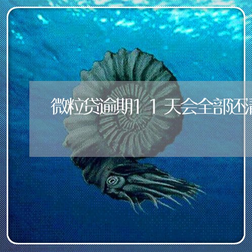 微粒贷逾期11天会全部还清么 微粒贷逾期11天会全部还清么