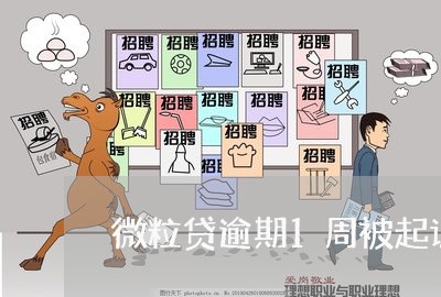微粒贷逾期1周被起诉怎么办 微粒贷逾期1周被起诉怎么办
