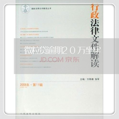 微粒贷逾期20万坐牢 微粒贷逾期20万坐牢