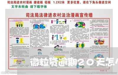 微粒贷逾期20天怎么处理/2023060550371