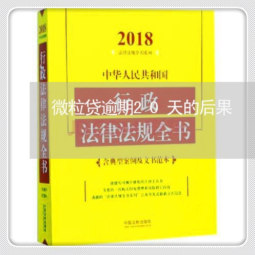 微粒贷逾期20天的后果