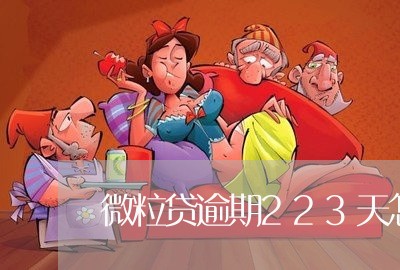 微粒贷逾期223天怎么办/2023060838614 微粒贷逾期223天怎么办/2023060838614