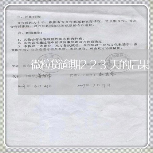 微粒贷逾期223天的后果/2023060829580 微粒贷逾期223天的后果/2023060829580