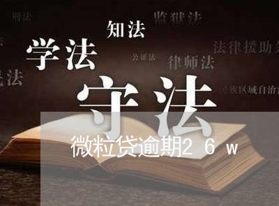 微粒贷逾期26w