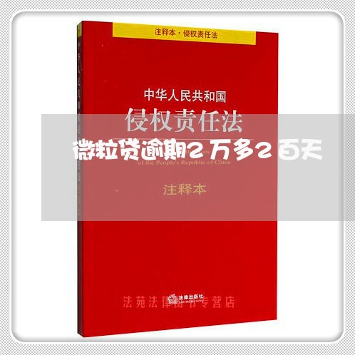 微粒贷逾期2万多2百天/2023061980792