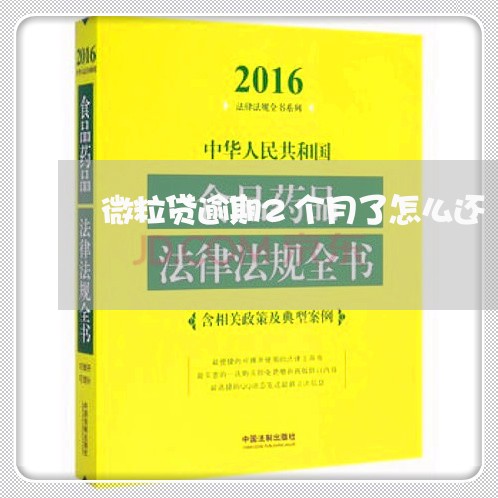 微粒贷逾期2个月了怎么还/2023060518157