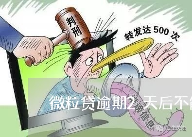 微粒贷逾期2天后不能再借/2023032423137